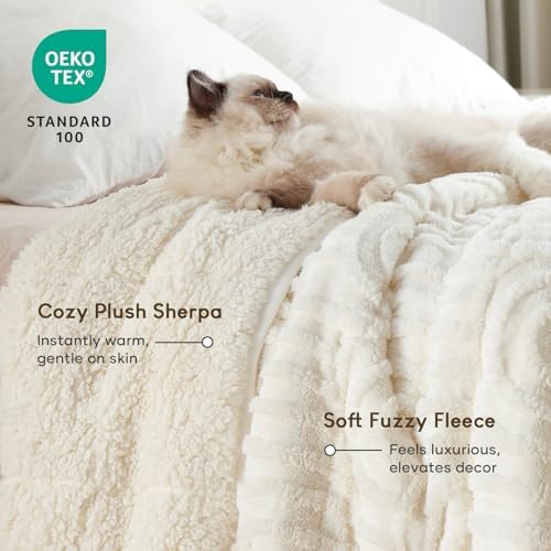 Cottonblue Weighted Blanket for Adults 15lbs Queen Size 60"x80" Soft