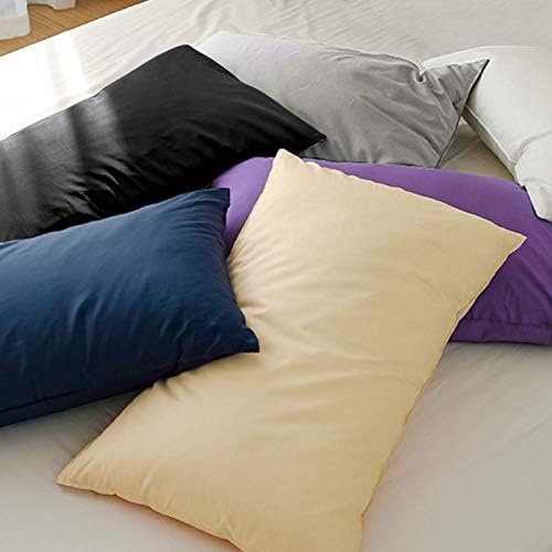 FLXXIE 2-Pack Microfiber Queen Pillow Cases, Envelope Closure, Light