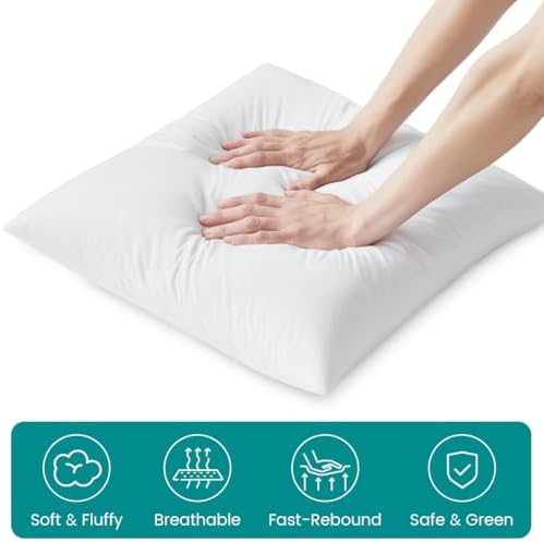 Oubonun 20 x 20 Down Feather Throw Pillow Inserts