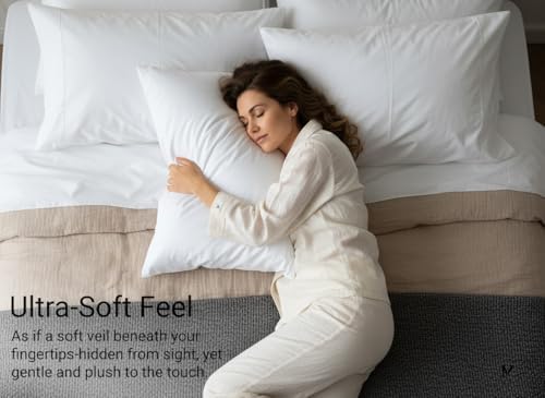 Light Grey Set of 4 Standard Queen Pillow Cases, Single-Ply Premium