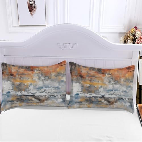 Abstract Gray Rust Duvet Cover Queen Size, Modern Grey Decorative