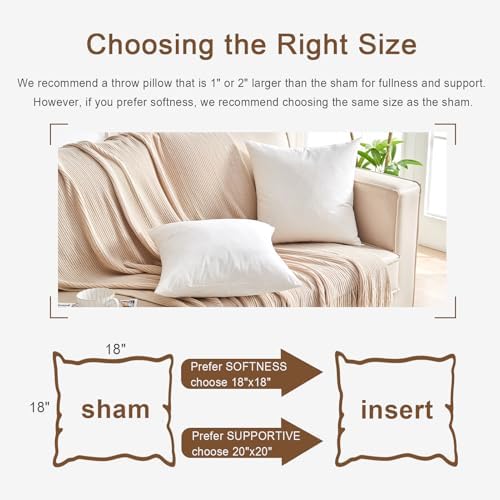 Organic Feather Down Throw Pillow Inserts 20x20 Inch Set of 2