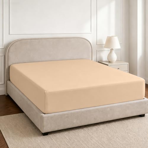 Warmstar 100% Cotton Cal King Size Fitted Sheet Only, 600 Thread Count