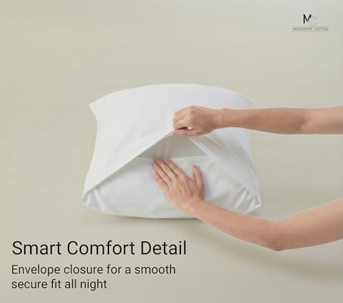 Light Grey Set of 4 Standard Queen Pillow Cases, Single-Ply Premium