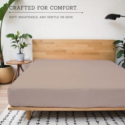 Egyptian Cotton Twin XL Size Fitted Sheet Taupe, 800 Thread Count