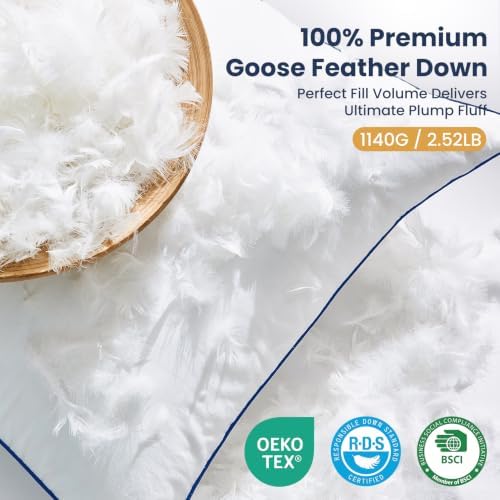 Down Pillow Inserts 20x20, Set of 2, 100% Goose Down Feather Throw
