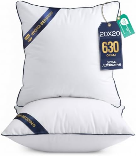 Decorative Throw Pillow Inserts 20x20, Kids Throw Pillows, 2-Pack