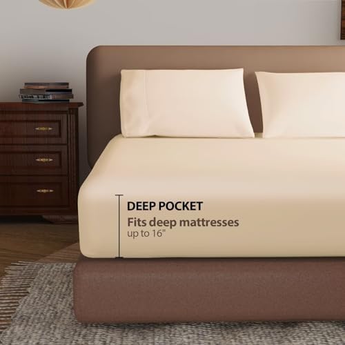 2 Pack 600 Thread Count 100% Egyptian Cotton Fitted Sheet Only, Cal