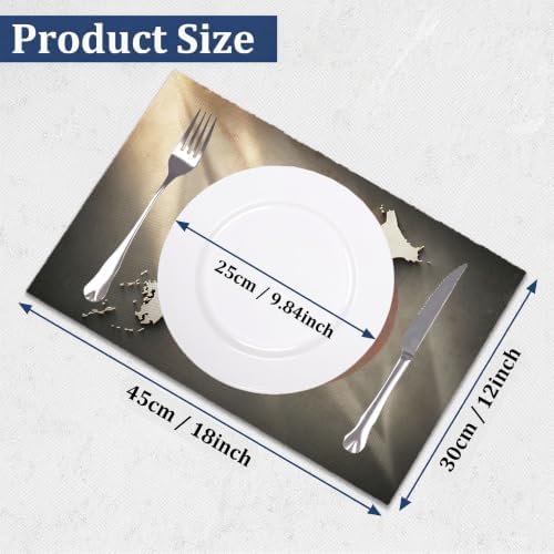 Placemat Set of 12 Washable Linen Textured Place Mats for Dinner