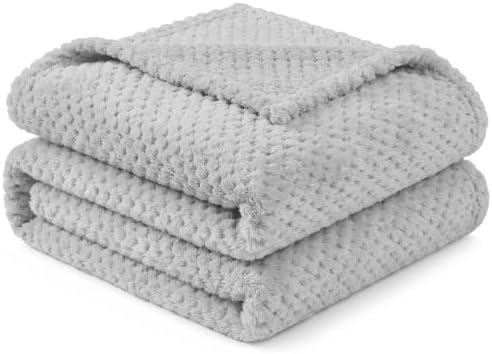 PAVILIA Fleece Throw Blanket for Couch Sofa Bed, Light Gray 60x80 Twin