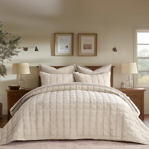 EverGrace 3 Pieces Double Box Stitch Luxurious Velvet Quilt, Queen