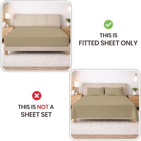 SGI bedding 100% Egyptian Cotton 600 TC Queen Size Fitted Sheet Only