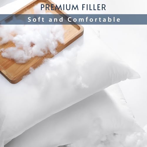 OTOSTAR Set of 4 Pillow Inserts 20x20 Inch, Decorative Square Throw