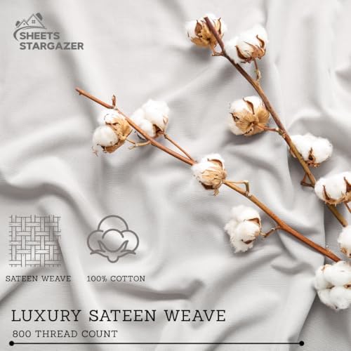 Egyptian Cotton Twin XL Size Fitted Sheet Taupe, 800 Thread Count
