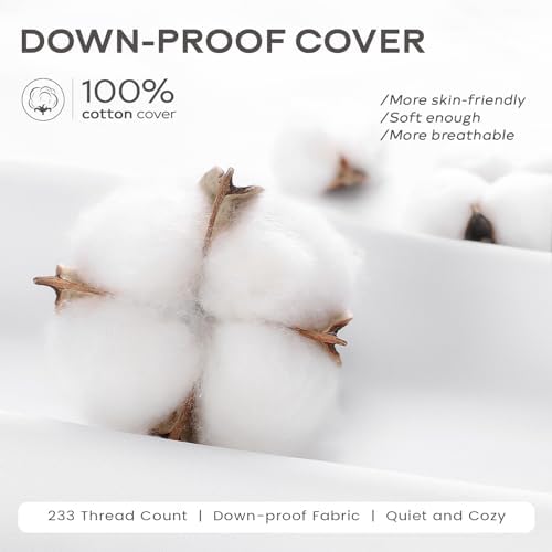 SAVORI Set of 2 Down and Feather Throw Pillow Inserts 20x20 Soft