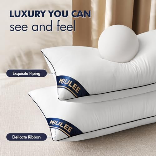 MIULEE 20x20 Pillow Inserts 2 Pack, Premium Down Alternative Throw
