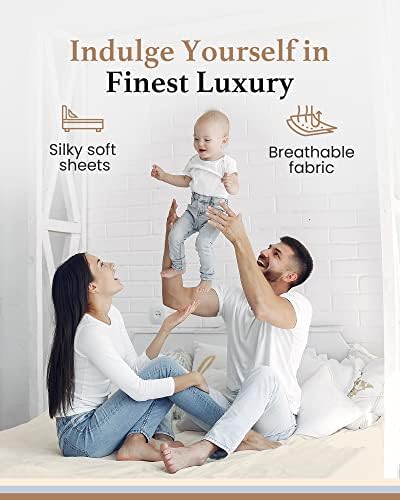 800 TC Fitted California King Sheet Only, 100% Egyptian Cotton - Ivory
