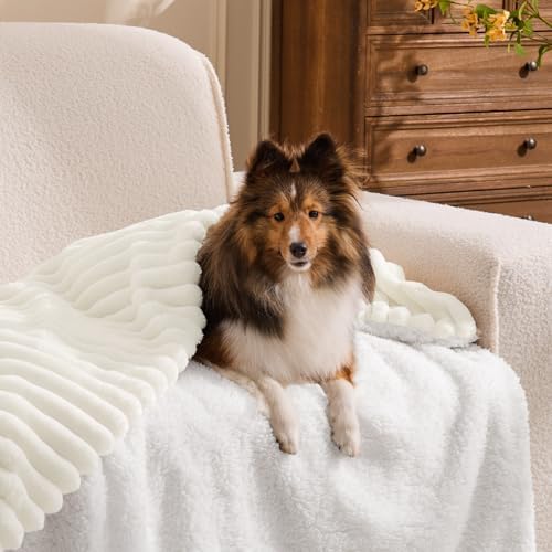 INFIIXSO Striped Sherpa Throw Blanket for Couch, Warm Plush, Cream