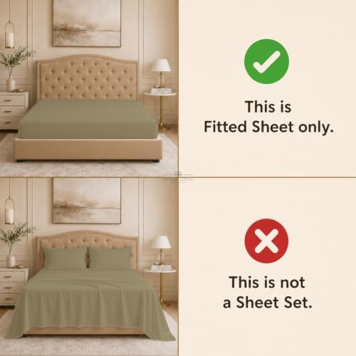 1 PC Fitted Sheet Only Family XL 144" W × 84" L Size, 100% Egyptian