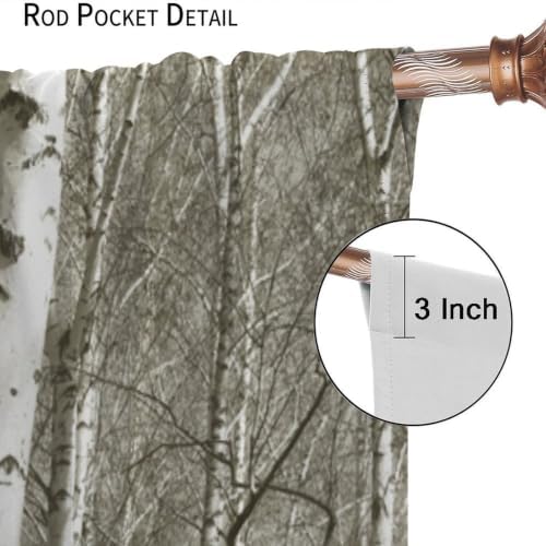 White Birch Tree Blackout Curtains, Neutral Gray Winter Forest Print