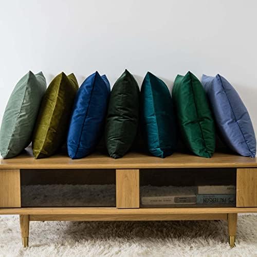 JUSPURBET 22x22 Decorative Velvet Throw Pillow Covers Set of 2,Peacock