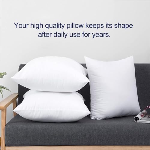 HITO 18x18 Pillow Inserts (Set of 2) - Down Alternative 100% Cotton