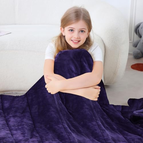 Aemicion Weighted Blanket (10lbs, 48"x72",Purple on Both Sides),Cozy