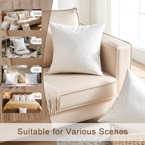 Organic Feather Down Throw Pillow Inserts 20x20 Inch Set of 2