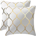 DEZENE Gold Velvet Throw Pillow Covers Off White: 2 Pack 20x20 Inch