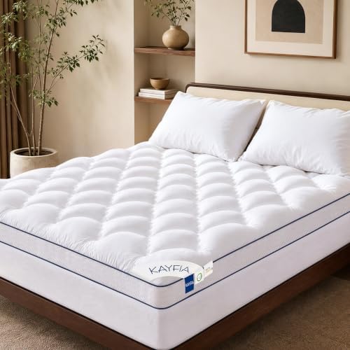 Kayfia 3 Inch Queen Memory Foam Mattress Topper for Back Pain, White