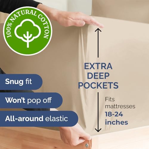 Extra Deep Twin Cotton Bed Sheet Set - 3 Piece Cotton Sheets - Cream