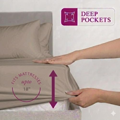 500 Thread Count, Egyptian Cotton 1 Piece Fitted Sheet Taupe Solid