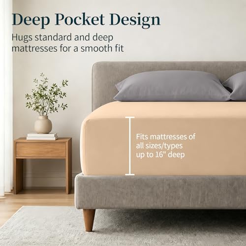 Warmstar 100% Cotton Cal King Size Fitted Sheet Only, 600 Thread Count