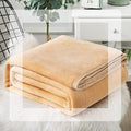 Lightweight Blanket for Bed Fluffy Velvet Blanket Bed Soft Blankets