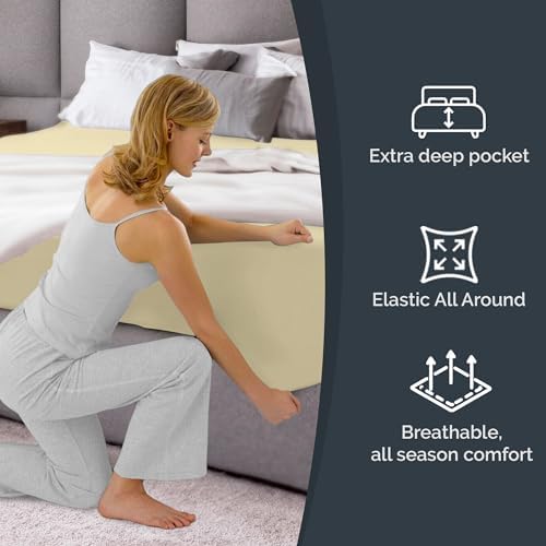 CGK Extra Deep Queen Single Fitted Sheet Only - Off White