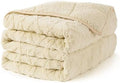 Topblan Weighted Blanket Twin Size 15lbs, 48 x 72 for Adults in Bed