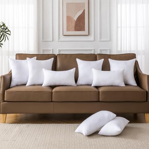 20 x 20 Pillow Inserts Set of 4 - Premium Soft and Fluffy 20 Inch