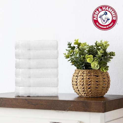 ARM & HAMMER Super Soft Washcloths, 6 Piece, Grey