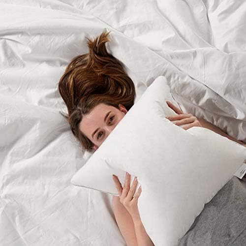 Oubonun 20 x 20 Throw Pillow Inserts (Set of 2) with 100% Cotton Cover