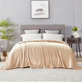 DREAMNINE Extra Large Fleece Blanket Soft Comfy Fluffy Bed Blankets