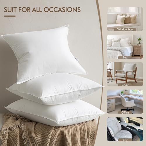 MIULEE 20x20 Throw Pillow Inserts,Set of 2 Decorative Pillow Inserts