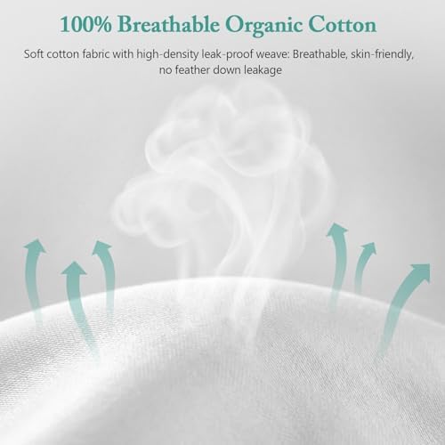 BPC Luxury Feather Down 20x20 Pillow Inserts Set of 2, Soft Fluffy