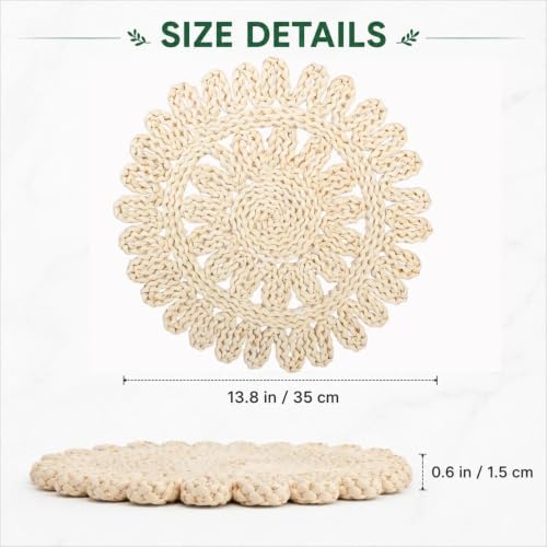 Eiyye 13.8'' Woven Placemats Set of 6 Handwoven Round Table Mats