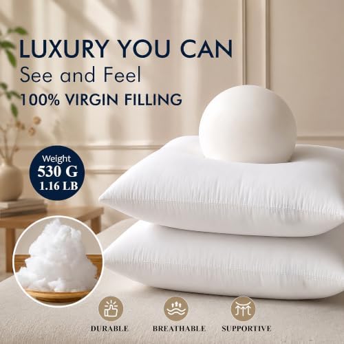 Ridhi White Throw Pillow Inserts, 20x20 Inch, Pack of 4, Down