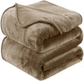 Soft Queen Size Blanket for All Season Warm Fuzzy Microplush