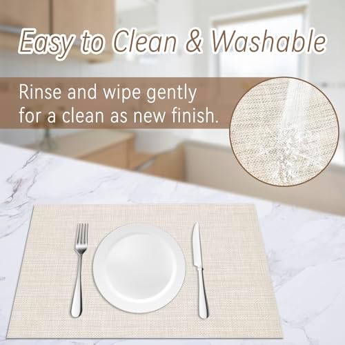 JeogYong Wipeable Placemats Set of 8 Washable Placemats Woven Table