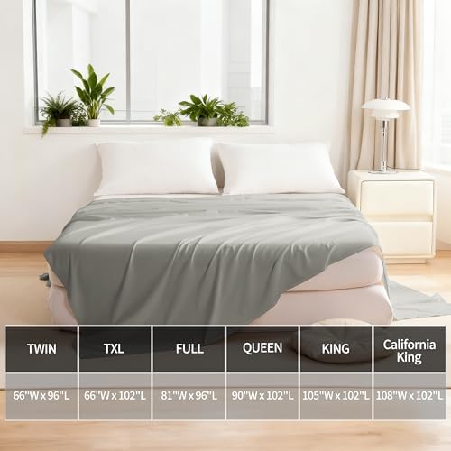 Aerlomi King Flat Sheet, 105x102 Inches, Brushed Microfiber, Smoke