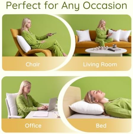 Ashler 18 x 18 Pillow Inserts with 100% Cotton Cover, Set of 2