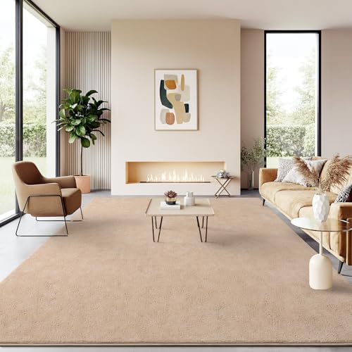 BENRON Soft Rugs for Living Room 6x9 Beige, Minimalist Area Rug for
