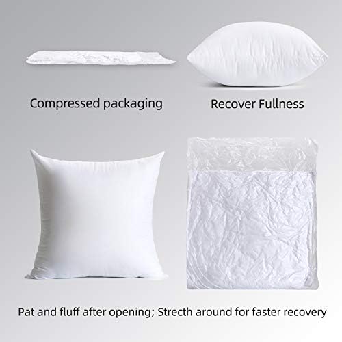 Calibrate Timing 18 x 18 Pillow Insert, Hypoallergenic Square